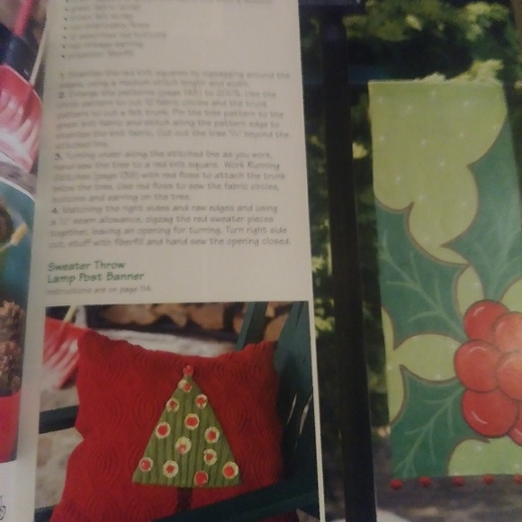 Goose berry patch - Picture 4 of 6